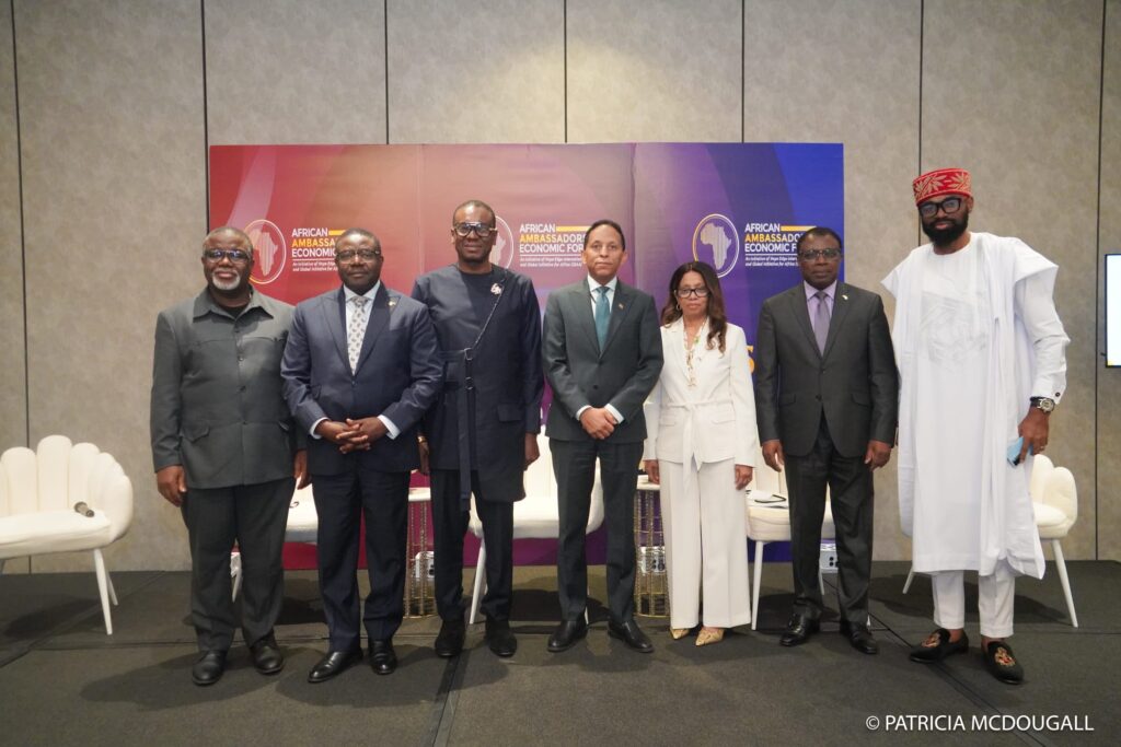 Dr utchay,Ambassador of zambia,Ambassador of sierre leone,Ambassador of sierre leone,Ambassador of guinea bissau,Ambassador of Eritrea and dr david james